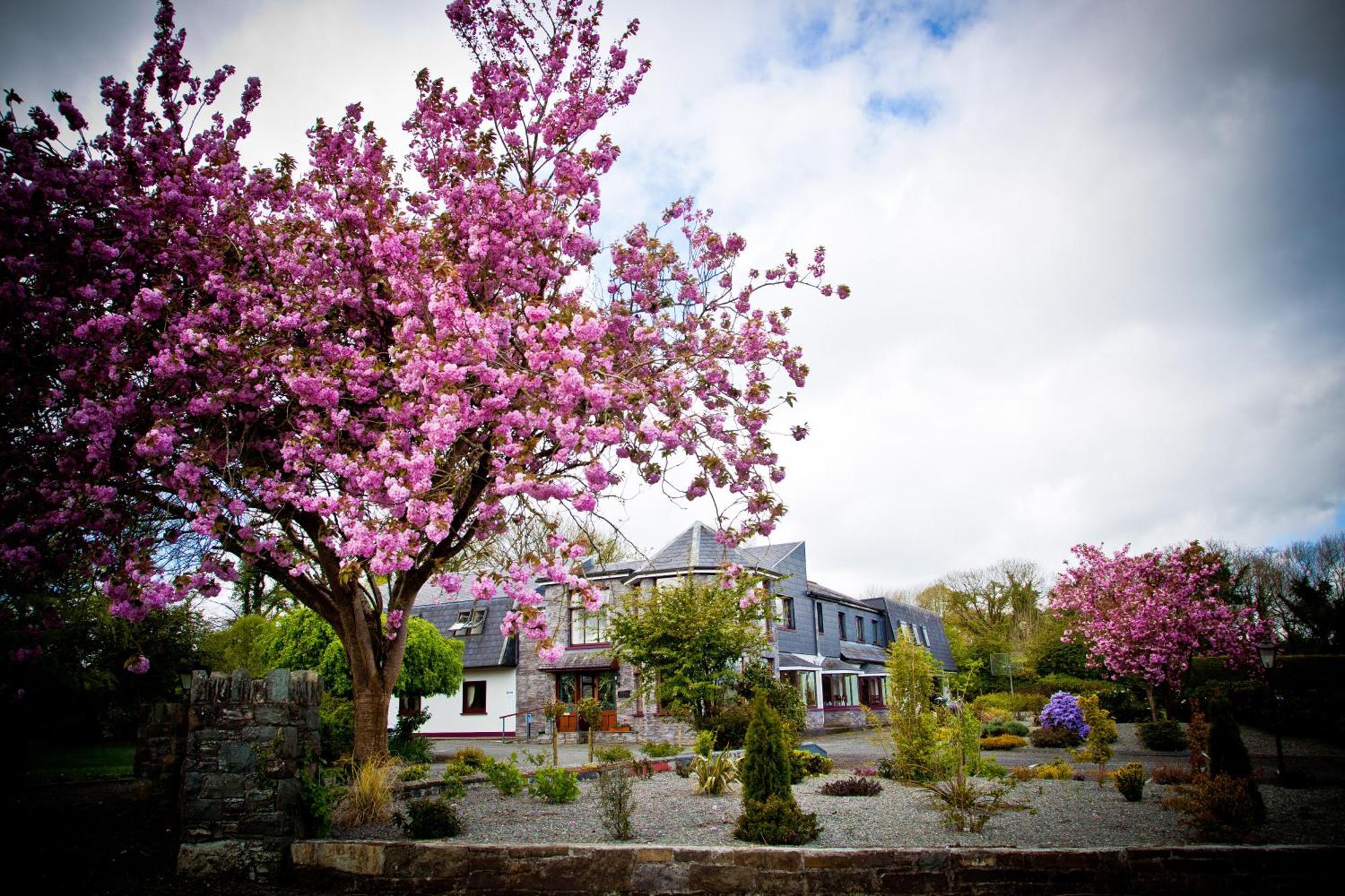 Kathleens Country House Lower Coolcorcoran Exterior photo